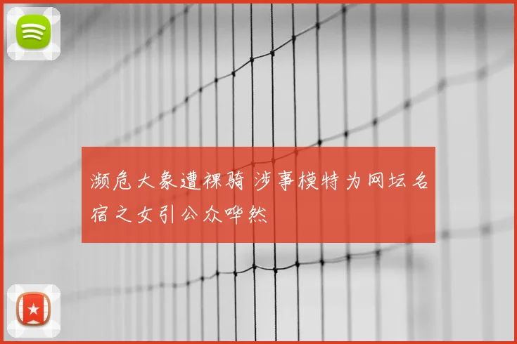 濒危大象遭裸骑 涉事模特为网坛名宿之女引公众哗然