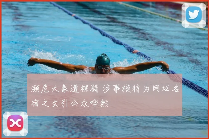 濒危大象遭裸骑 涉事模特为网坛名宿之女引公众哗然